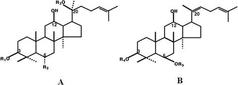 A ginzenozidok protopanaxadiol és protopanaxatriol molekuláris struktúrái.