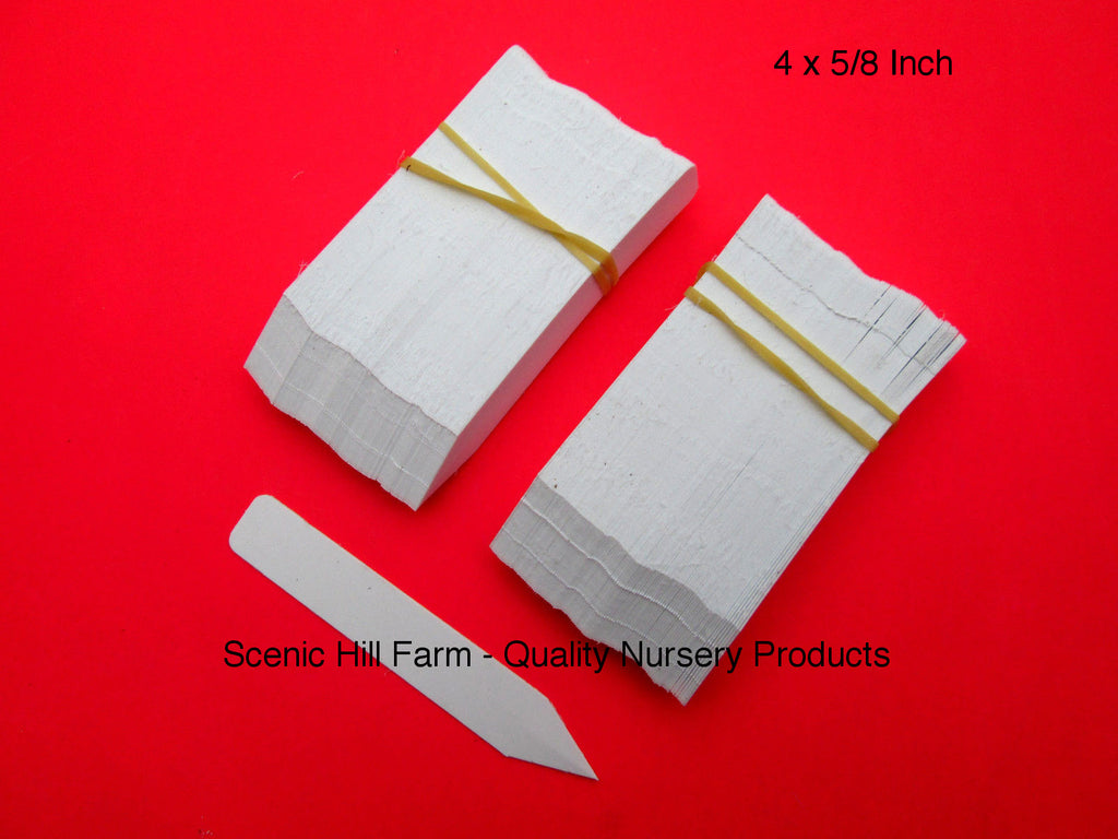 L Bond Manufacturing  White  Plastic  Plant Label/Marker  4 in 