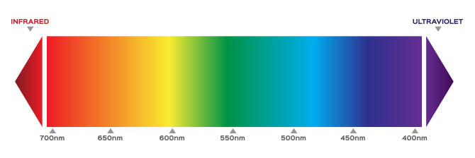 Wavelength Spectrum of Visible Light