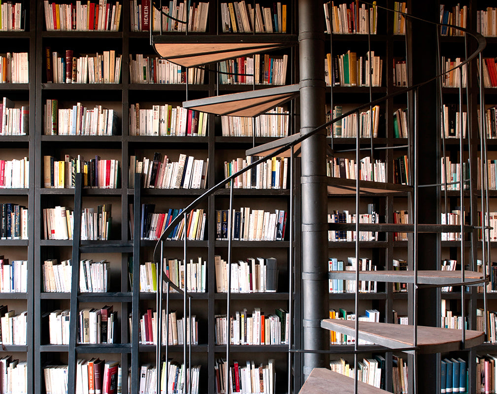 library and spiral staircase at the fellah hotel morroco
