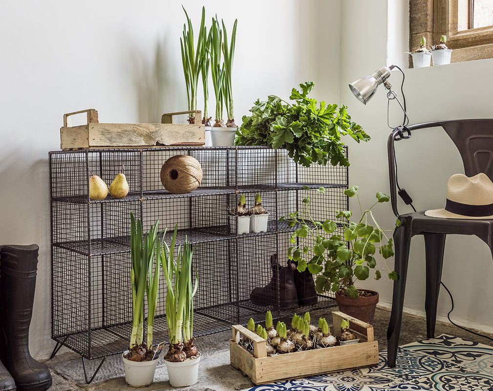 industrial style wire storage locker with faux greenery and botanicals from graham & green