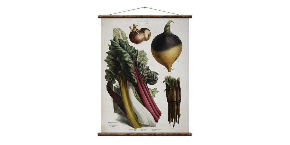 the vegetable garden vintage wall chart from erstwhile