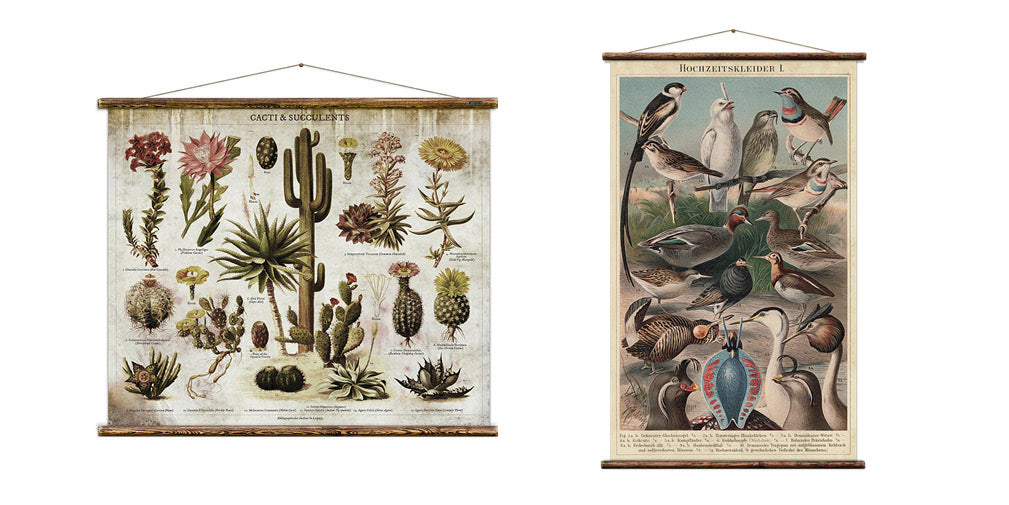 vintage wall charts and prints from erstwhile