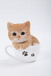 HI LINE PET PALS TEACUP ORANGE TABBY KITTEN