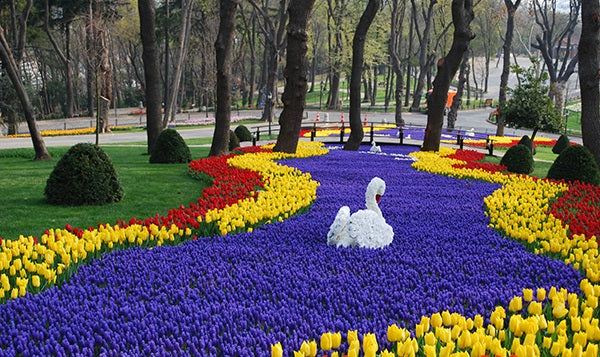 Are Tulips Celebrated Beyond The Netherlands Amsterdam Tulip Museum