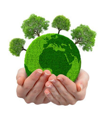 Green healthy earth world with trees sitting inside cupped hands