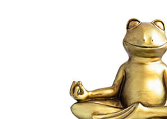 Mindful meditation to avoid weight gain frog
