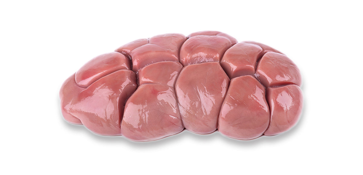 Raw Beef Kidney for Dogs