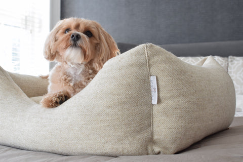 <img src="luxurywooldogbed.jpg" alt="luxury wool dog bed stockwell settee Bone & Home">
