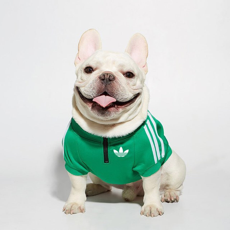 adidas track jacket for dogs