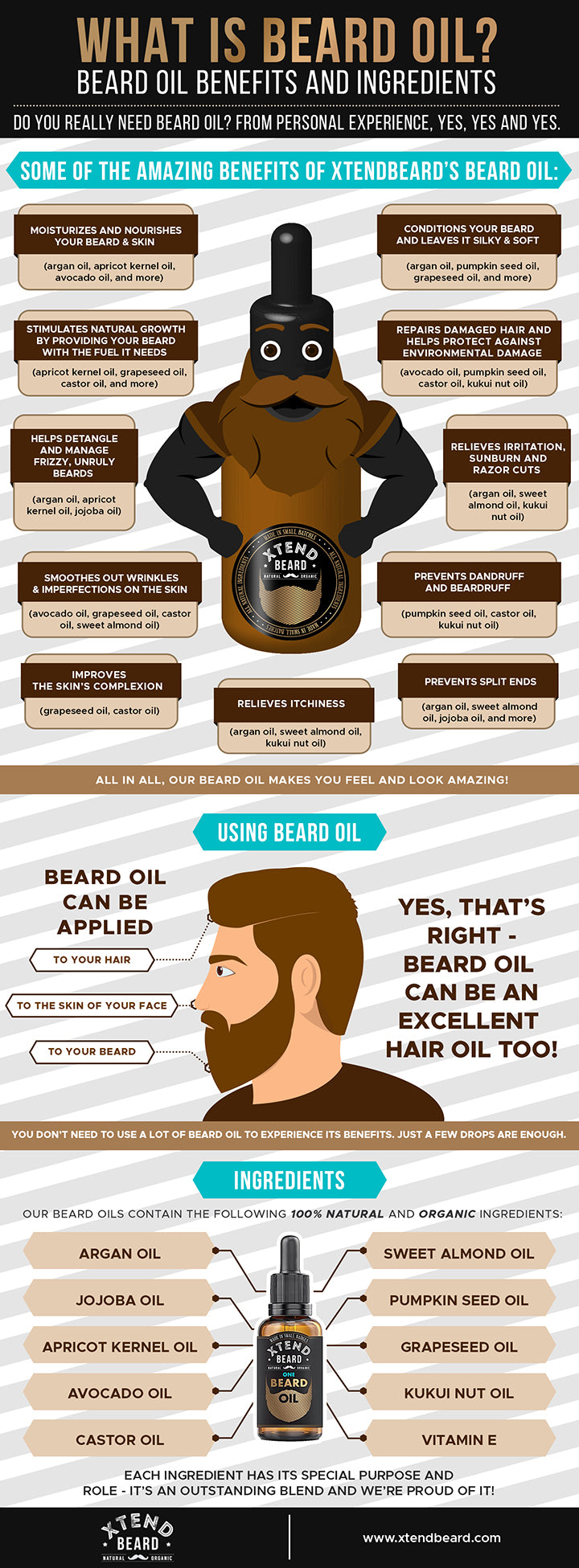 What is Beard Oil? Infographic