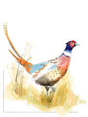 South Dakota Pheasant Art