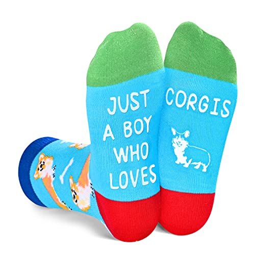 Kids' Funny Cute Animal Corgi Socks Gifts For Corgi Dog Lovers – Happypop