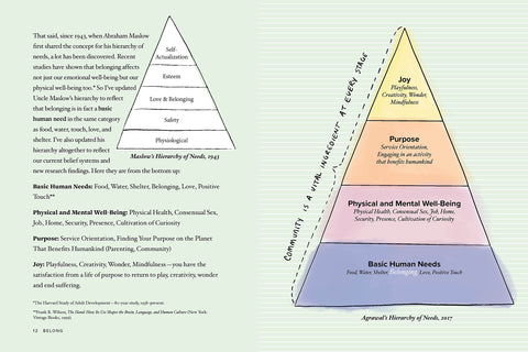 Agrawal's Hierarchy of Needs