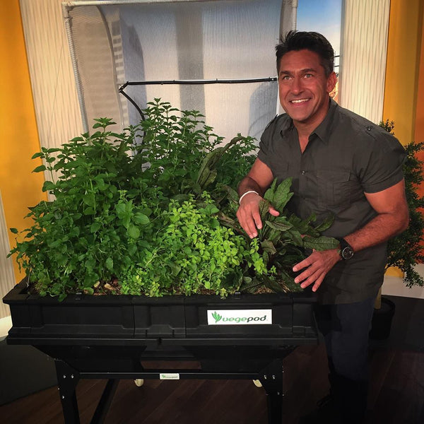 jamie durie vegepod