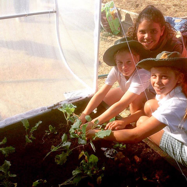 therapeutic gardening