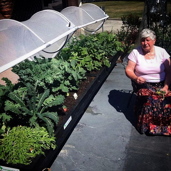 grandma admiring vegepod
