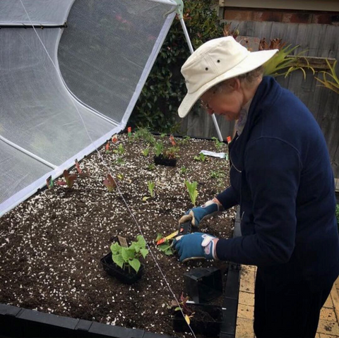 oma, grandmother, gardening with vegepod