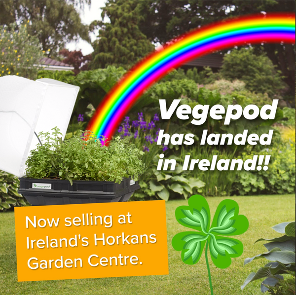 vegepod raised garden bed in ireland