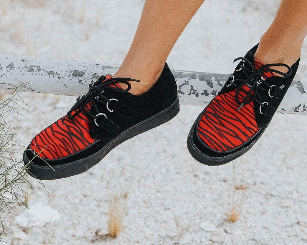 red zebra shoes