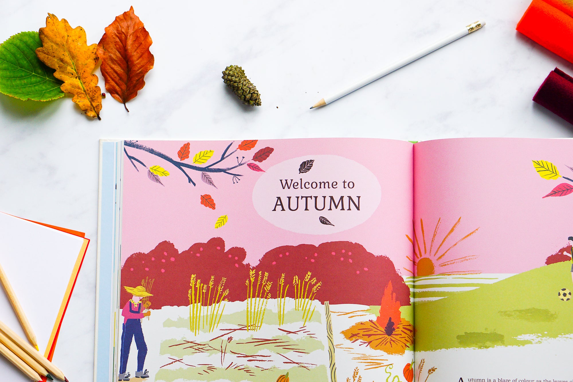 Set up an autumn nature and craft table to learn about the seasons