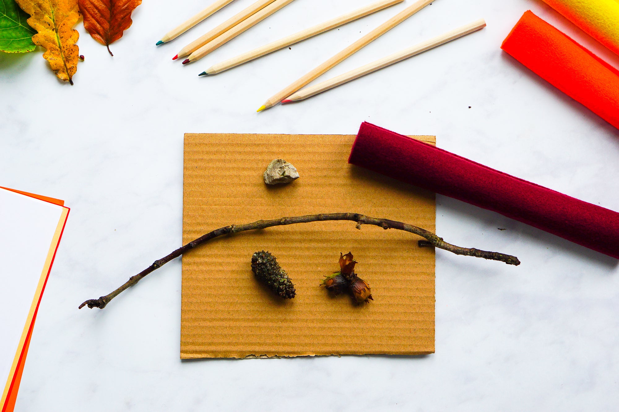 Set up an autumn nature and craft table to learn about the seasons