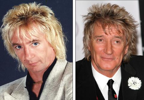 rod stewart celebrity impersonator