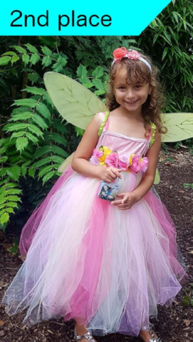 second place fairy dress up