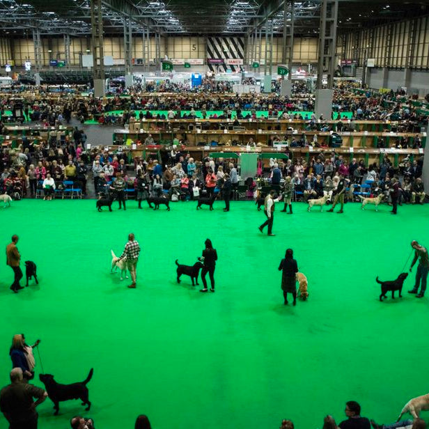 crufts tickets nec