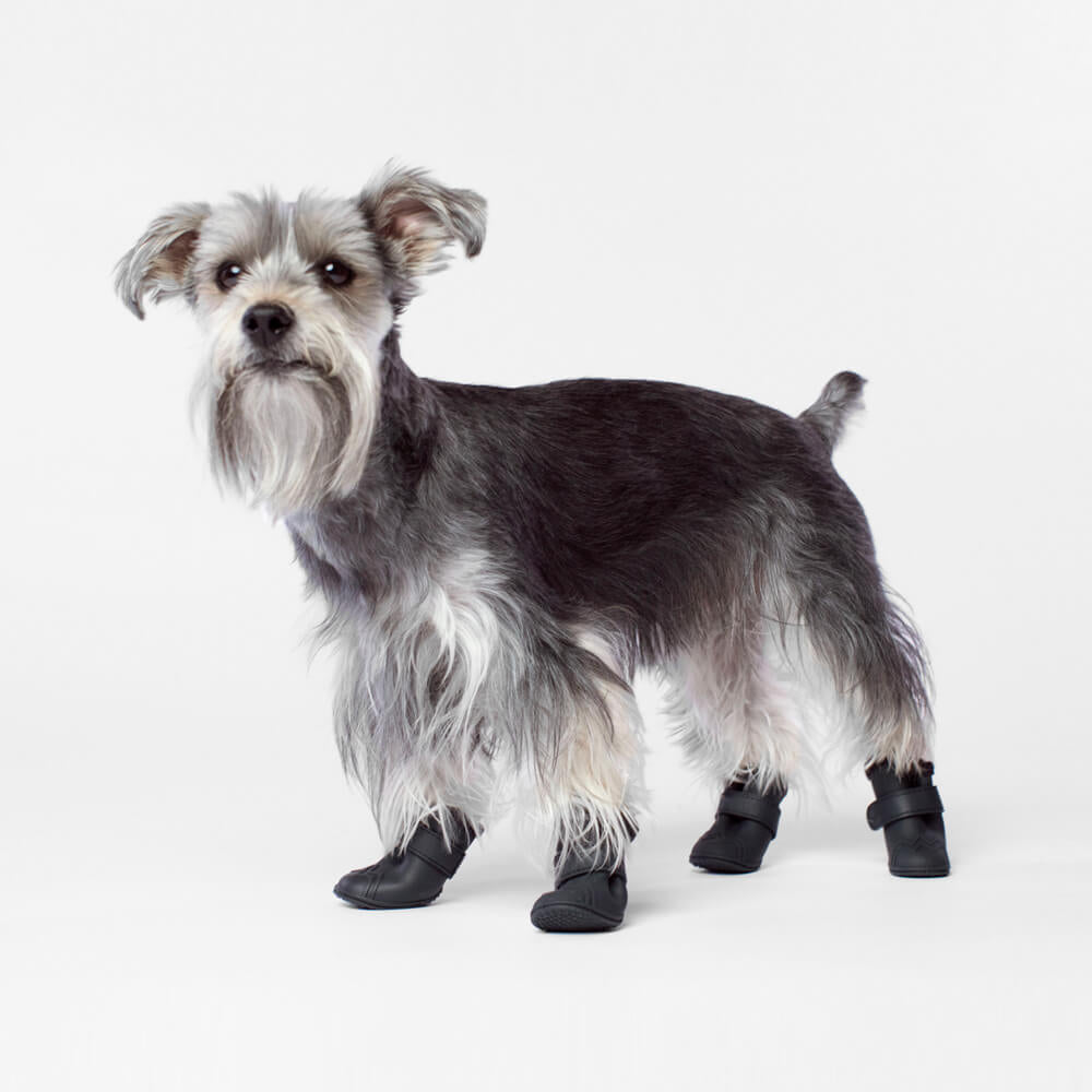 canada pooch wellies review