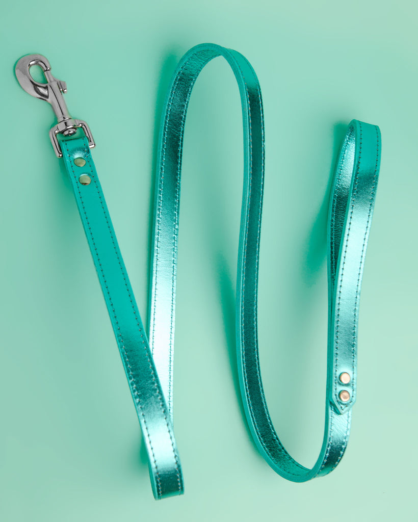 turquoise dog leash