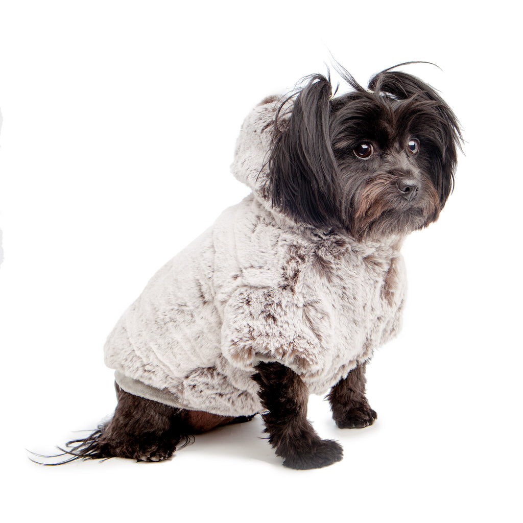 croci dog jacket