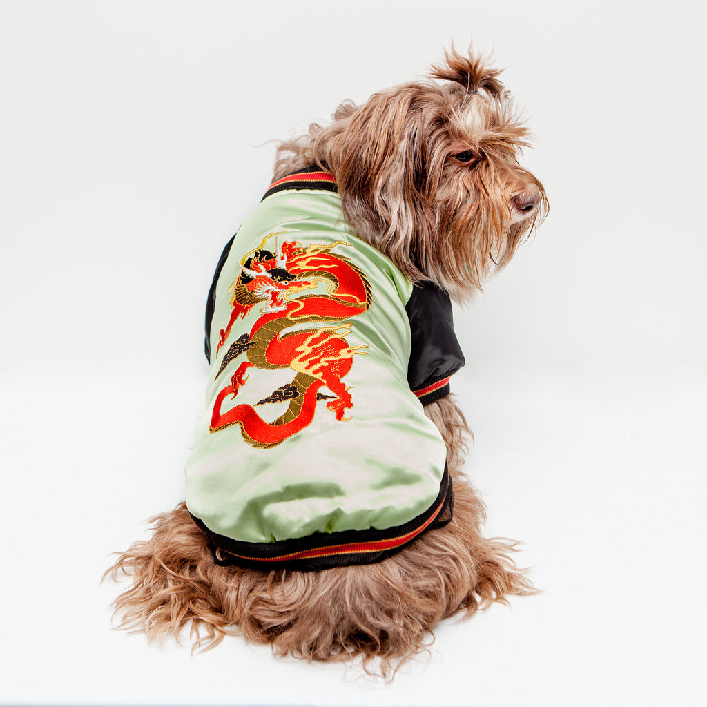 croci dog jacket