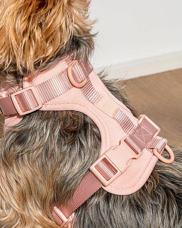 blush dog harness