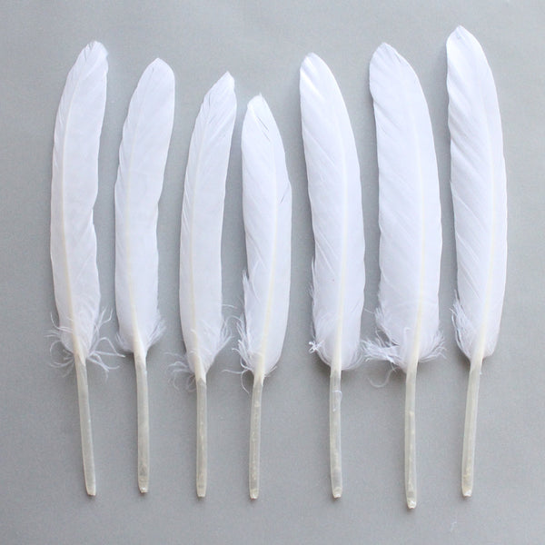 Duck Feathers, White Duck Cochettes 