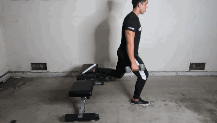 ritfit weight bench exercises Bulgarian Split Squat