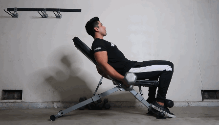 ritfit workout bench exercises Incline Bicep Curl