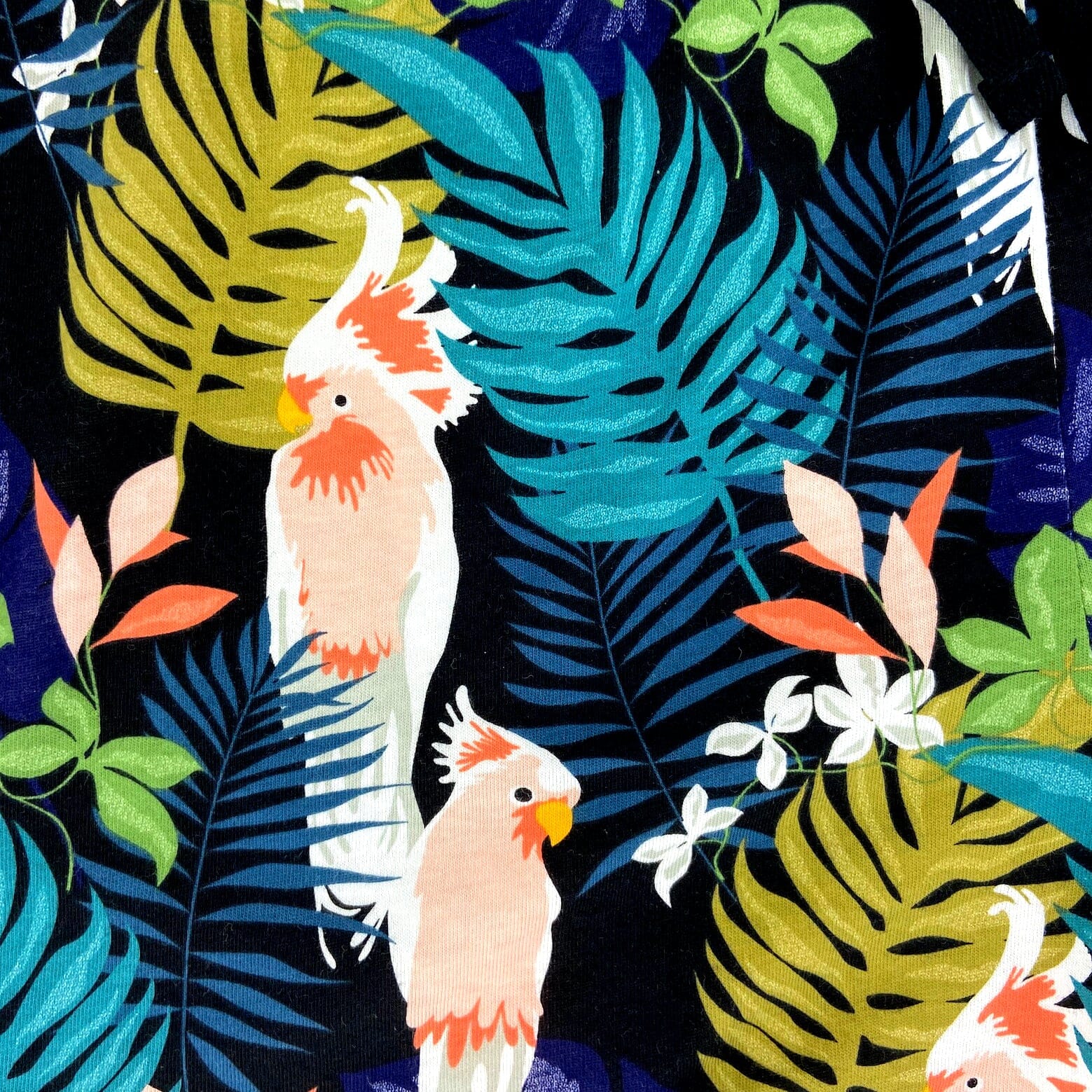 Women's Cockatiel Tropical Leaves Bird Print Jersey Knit Pyjama Shorts