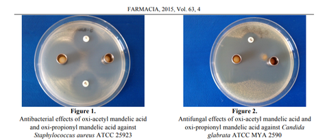 fungal acne