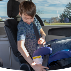 diono seat belt booster car seat