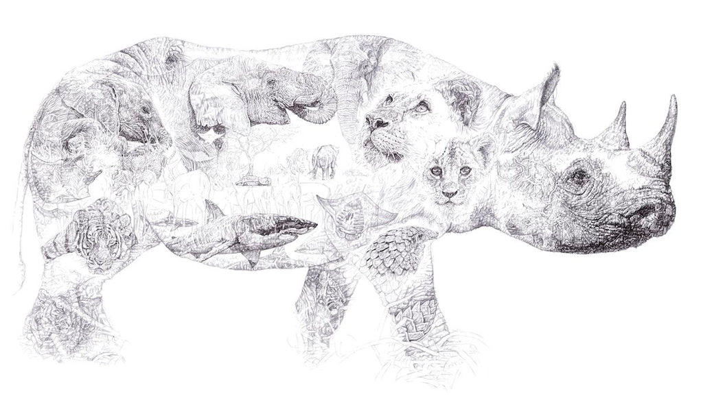 Rhino 2014 Biro drawing