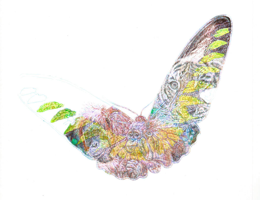 Malaysian Forest 2015 colour Biro drawing