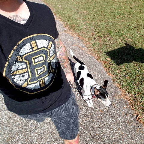 Leash walking in a backyard