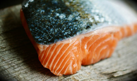 cooked salmon as a dog diet
