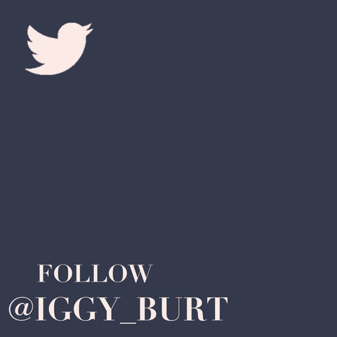 Follow Iggy & Burt on Twitter