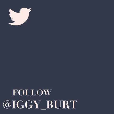 Follow Iggy & Burt on Twitter 