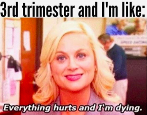 3rd Trimester Everything Hurts