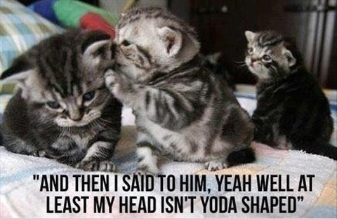 Yoda Shaped Cat Head