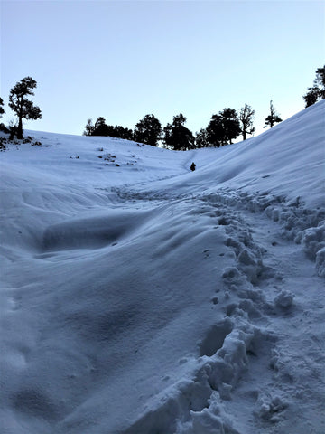 Last leg to Nag Tibba Summit