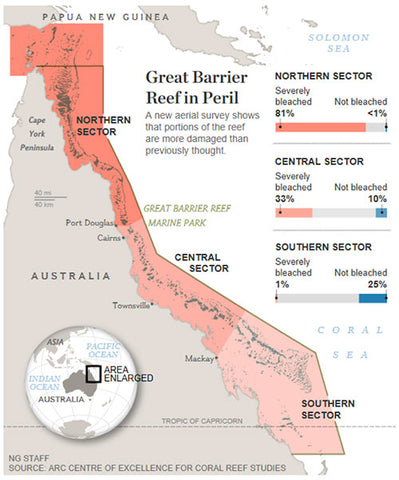 Great Barrier Reef in Peril
